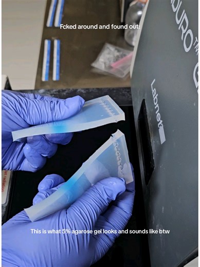 5% agarose gel appearance and sound — what it looks like