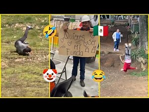 🔥VIRAL HUMOR #146 🇲🇽 PURE HUMOR 🤣😏🥵🤙🏻 Mexican memes