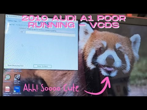 Audi A1 Diesel, Using VCDS Adapting Injector Minimum Deviation Quantity