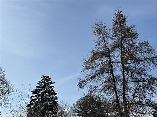 Sneak peek of Montreal's weather forecast this week - CityNews Montreal