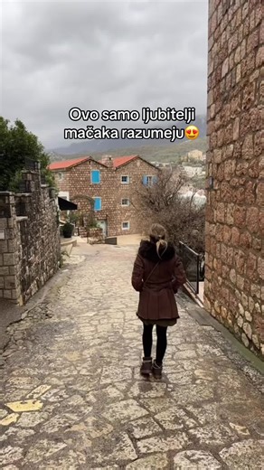 Ljubitelji mačaka: Savršen način za pomaziti svoje krznene prijatelje