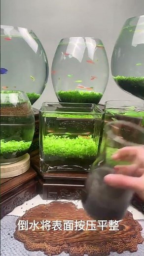 Setting up my new betta fish tank.