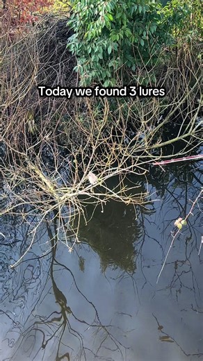 Discovering Effective Fishing Lures for Pike