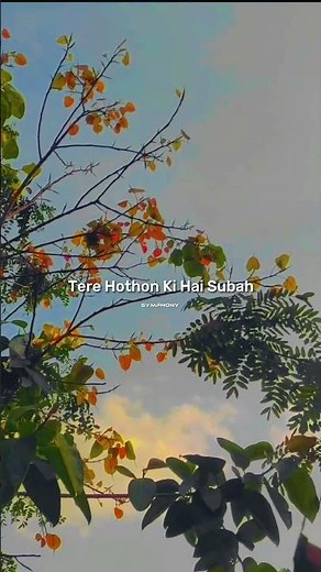 Kasoor (Lyrics) | Prateek Kuhad. #shorts #lyrics #kasoor #prateekkuhad #co2