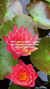 1.6K views | When it comes to designing ponds and water features, the options are limitless! Each build is a unique work of art. Contact your local CAC on our website to bring your water feature dreams to life in 2025!  Team Aquascape https://aquascapesupplies.com.au/pages/find-a-contractor?utm_content=sked_67832d2060cc57a6e9b853e3&utm_medium=social&utm_name=sked&utm_source=facebook | Recreation Ponds Australia | Facebook