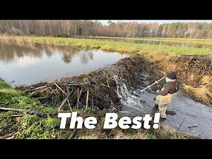 VERY BEST MY DAM REMOVAL VIDEO! TOP 1!