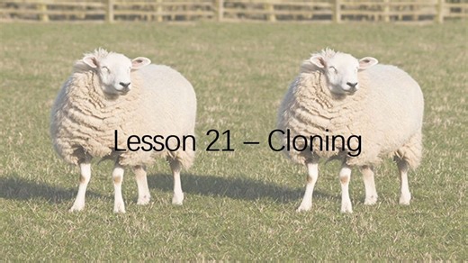 Lesson 21 - Introduction to Cloning 克隆生物