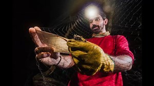 10K views · 868 reactions | Do you think identifying bats in Europe...