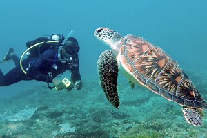 Home - A Rocha International