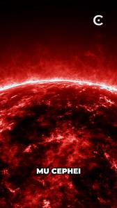 The largest stars in the universe. | Cosmoknowledge