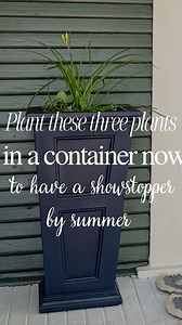 30K views · 276 reactions | Here is the perfect, three plant...