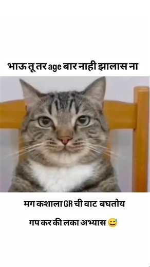 Mpsc_exam_preparation on Instagram: "Mpsc exam meme | #mpscmemes #memes #funnymemes #mpsc #mpscpune #mpscrajyaseva #mpscpune #explore #explorepage #instareels #mpscaspirant #mpscpune .#viralvideos #viralreels #viral . . . . Video credit goes to respective owner"