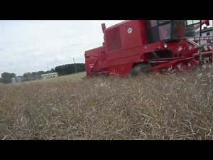 Rzepak 2012 - Bizon Z056 || Osiny ||