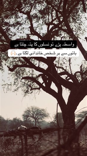 Understanding Family Connections Through Generations