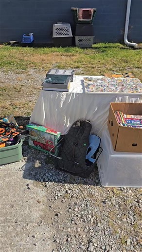 5.3K views · 41 reactions | Humane Society of Jefferson County, TN on Reels | Facebook