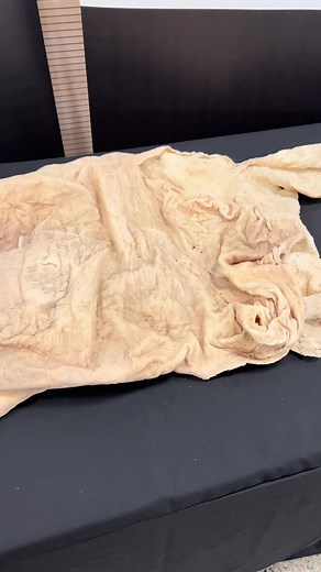 Exploring Textured Fabrics in Unique Displays