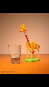 Drinking Giraffe Heat Engine: a rare vintage version of the famous drinking bird heat engine- but in the form of a long necked mammal! With four legs instead of two the physics is the same- cooling by evaporation at the head leads to lower pressure in the top bulb such that the volatile fluid rises up the neck making the giraffe’s neck top heavy and the critter tips over dipping its face in the water and letting the fluid return to the bottom bulb. The process repeats as long as the top stays we