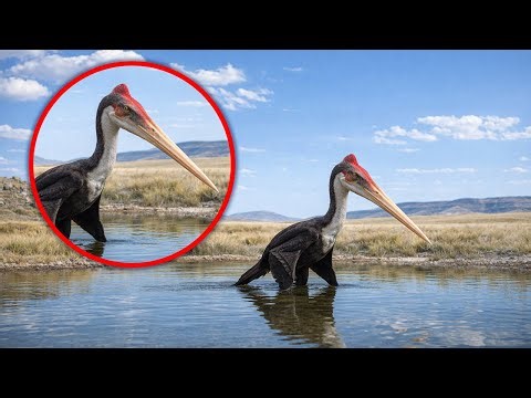 10 Extinct Animals Caught ALIVE On Camera! (Why Scientists Are Terrified of #1)