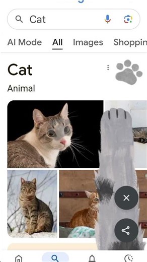 Cat paws tutorial #cat
