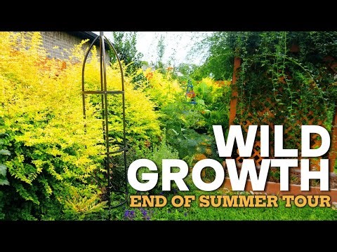 End of Summer Garden Tour Houston, TX (Zone 9b) | Thriving in the Heat!