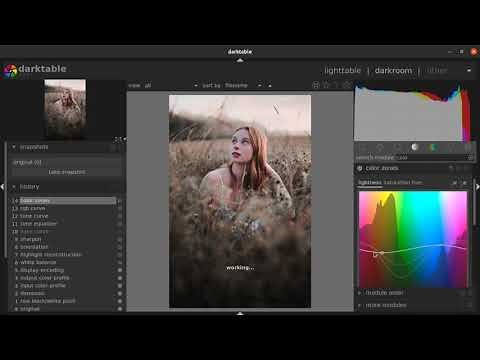 How to color grade a raw photograph using darktable