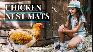 RESILIA Chicken Nest Mats 6-Pack - Poultry Mat for Nesting Boxes, Reduces Egg Breakage, Solid Bottom, Easy Clean, Gray, 12.75 x 12 inches