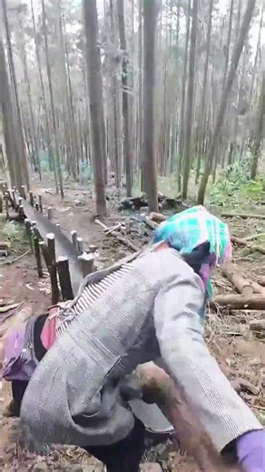 Collaborative Moment" of Loggers: Making Logs Move Together