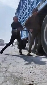 Perfect compilation 🤣🤣🤣🤣🤣🤣🤣🤣🤣🤣🤣🤣 | Woodrow 1