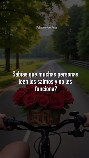 🙏✨ Muchos leen los Salmos todos los días… pero cometen este error sin darse cuenta. No se trata solo de leerlos. Se trata de cómo los lees. Cuando cambias la forma de recitarlos… tu fe cambia. tu energía cambia. tu vida cambia. Hoy te comparto uno de los secretos más importantes para que los Salmos tengan poder en tu vida. 💬 Quiero leerte: ¿Cuál es el Salmo que más repites? Escríbelo en los comentarios 🙏 📌 Guarda este video para recordarlo cuando ores. ✨ Y si quieres aprender más, en mi guía