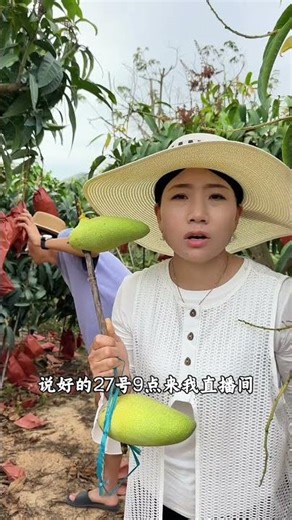 我诚心诚意邀请，强哥说了让哪儿都别去，原地等着#三亚 #旅游 #芒果 @DOU+上热门