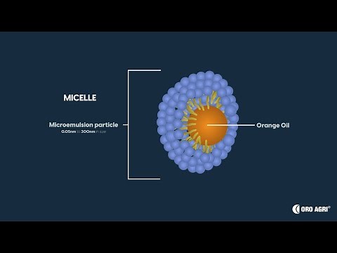 Micelle Formation