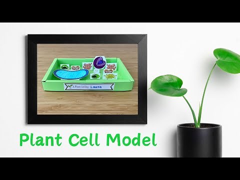 Paper Plant Cell Model