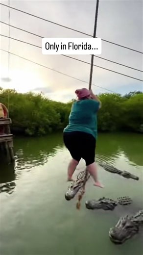 Naples Florida Life on Instagram: "There are moments in Florida that make you stop and rethink everything you thought you knew about wildlife, common sense, and basic self preservation. This rope swing moment feels like pure Florida energy, but if you have spent any time in Naples or the surrounding Gulf coast you know scenes like this are never as far away as people think. One second everyone on the dock is laughing, the next second a fearless local is flying straight toward a group of gators w