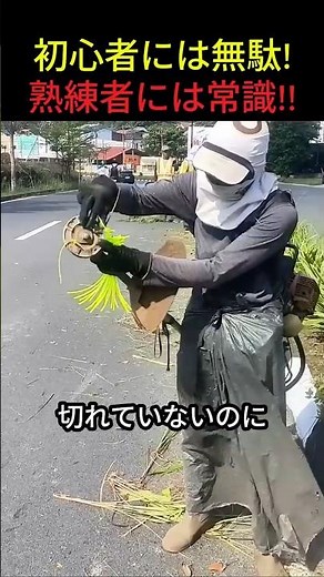初心者には無駄!!熟練者には常識!!! #草刈り #刈払機 #ナイロンコード #現場の知恵 #職人技 #道具の使い方 #安全作業 #豆知識