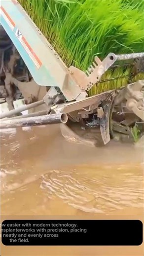 Modern Rice Planting Technology! Automatic Rice Transplanter 🌾