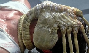 Fede Alvarez Teases ‘Alien: Romulus’ With RC Facehugger