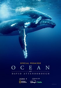 Ocean with David Attenborough - stream online
