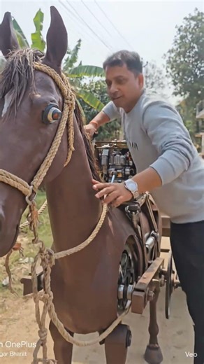 Amazing engineering skill homemade mechanical horse shaped machine pulling mustard oil bottles