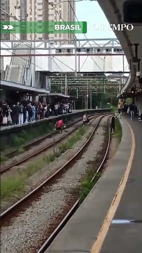 Passengers cross tracks after fallen tree disrupts Ruby Line 7 in São Paulo
