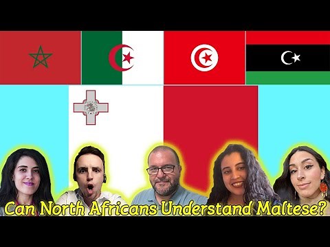 Can North Africans Understand Maltese?