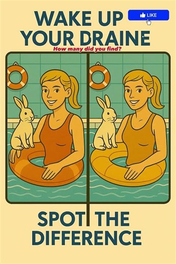 🏊 Spot the Difference | Pool Time with a Rabbit