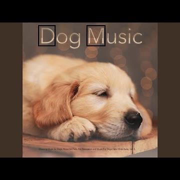 Relaxing Music For Dogs