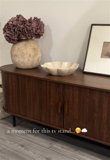 Affordable and Stylish TV Stand Review