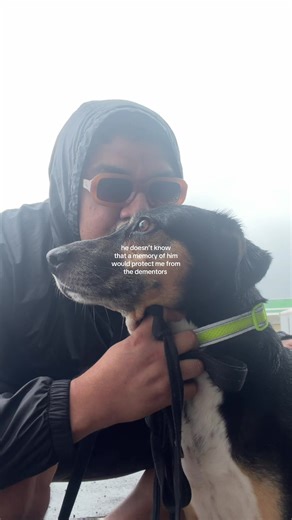 when your dog doesn’t know he’s your patronus 🌀🧙🏽‍♂️