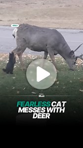 85K views · 1.1K reactions | Hope they're still friends ❤️ | Daily Mail Entertainment | Facebook