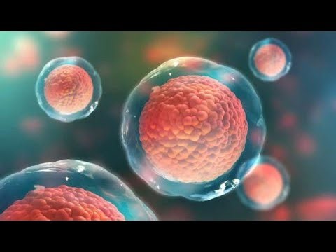 GAMETOGENESIS | OOGENESIS | SPERMATOGENESIS | REPRODUCTIVE SYSTEM | DR BYSON EM🩺