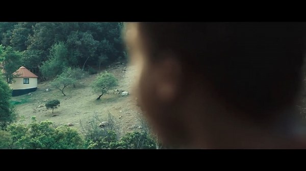 19 reactions | Films to catch at AFDA Graduation Festival All of...