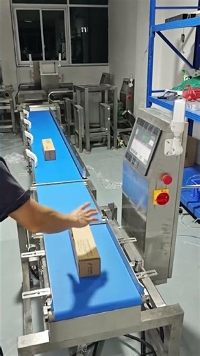 4-Level Weight Sorting Machine | Automatic Weight Grading Solution