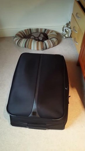 Trapped in a suitcase!