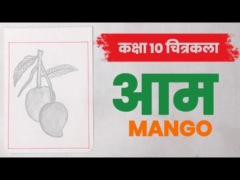How to draw mango step by step using pencil | Mango pencil drawing tutorial